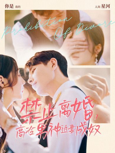电影:禁止离婚,高冷男神追妻成奴