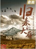 电影:归来的大雁