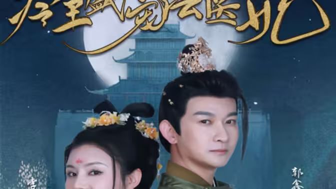 电影:新版:冷王盛宠法医妃