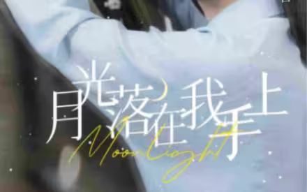 电影:月亮落在我手上