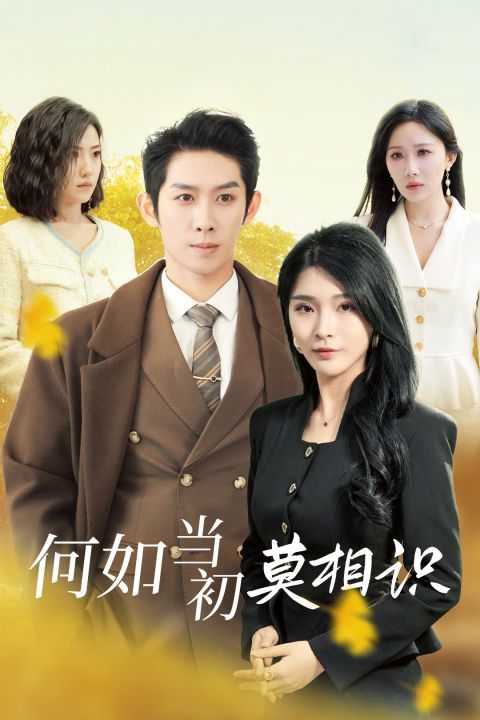 电影：何如当初莫相识