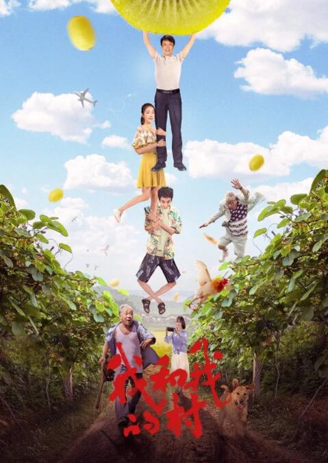 电影:我和我的村