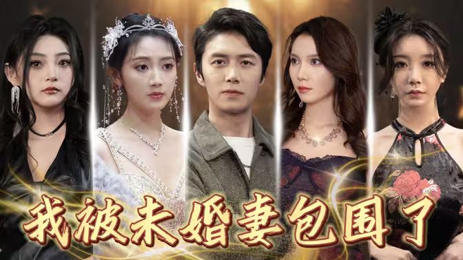 电影:我被未婚妻包围了