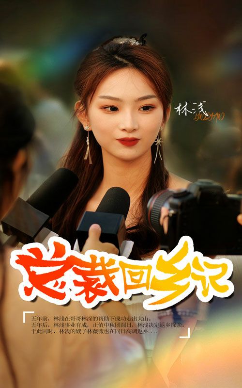 电影：总裁回乡记