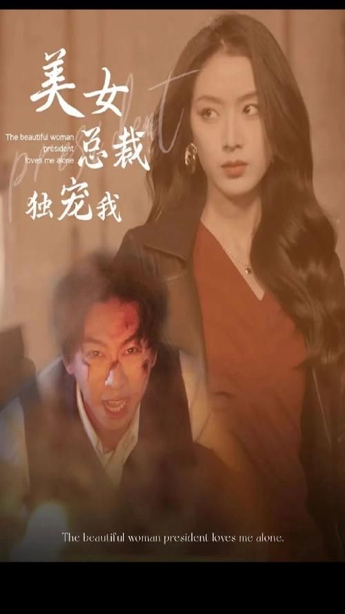 电影：美女总裁独宠我