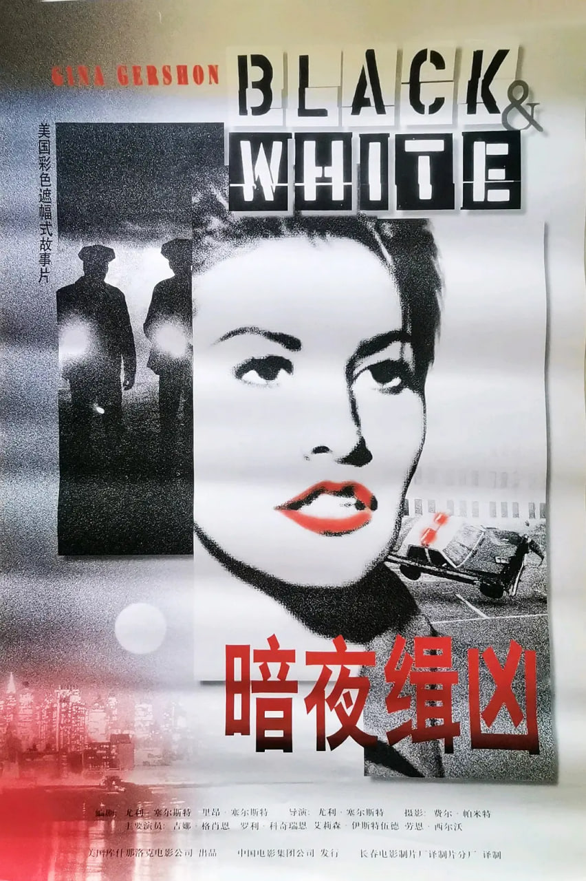 电影：暗夜缉凶