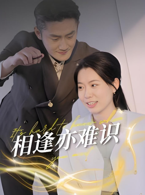 电影：相逢亦难识