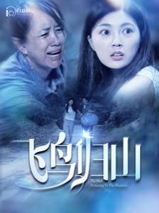 电影:飞鸟归山