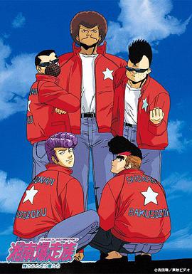 电影:湘南暴走族