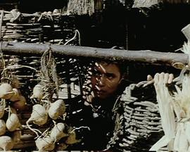 电影：最后防卫