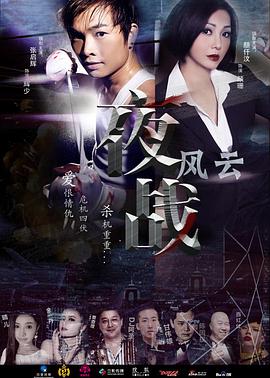 电影：夜战风云