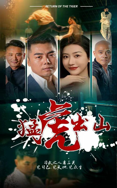 电影：猛虎出山
