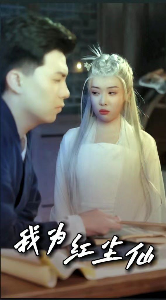 电影：我为红尘仙