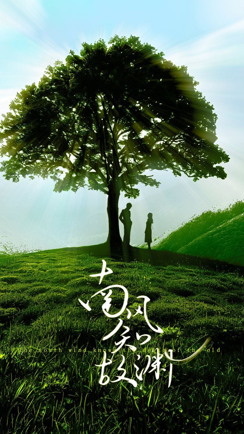 电影：南风知故渊