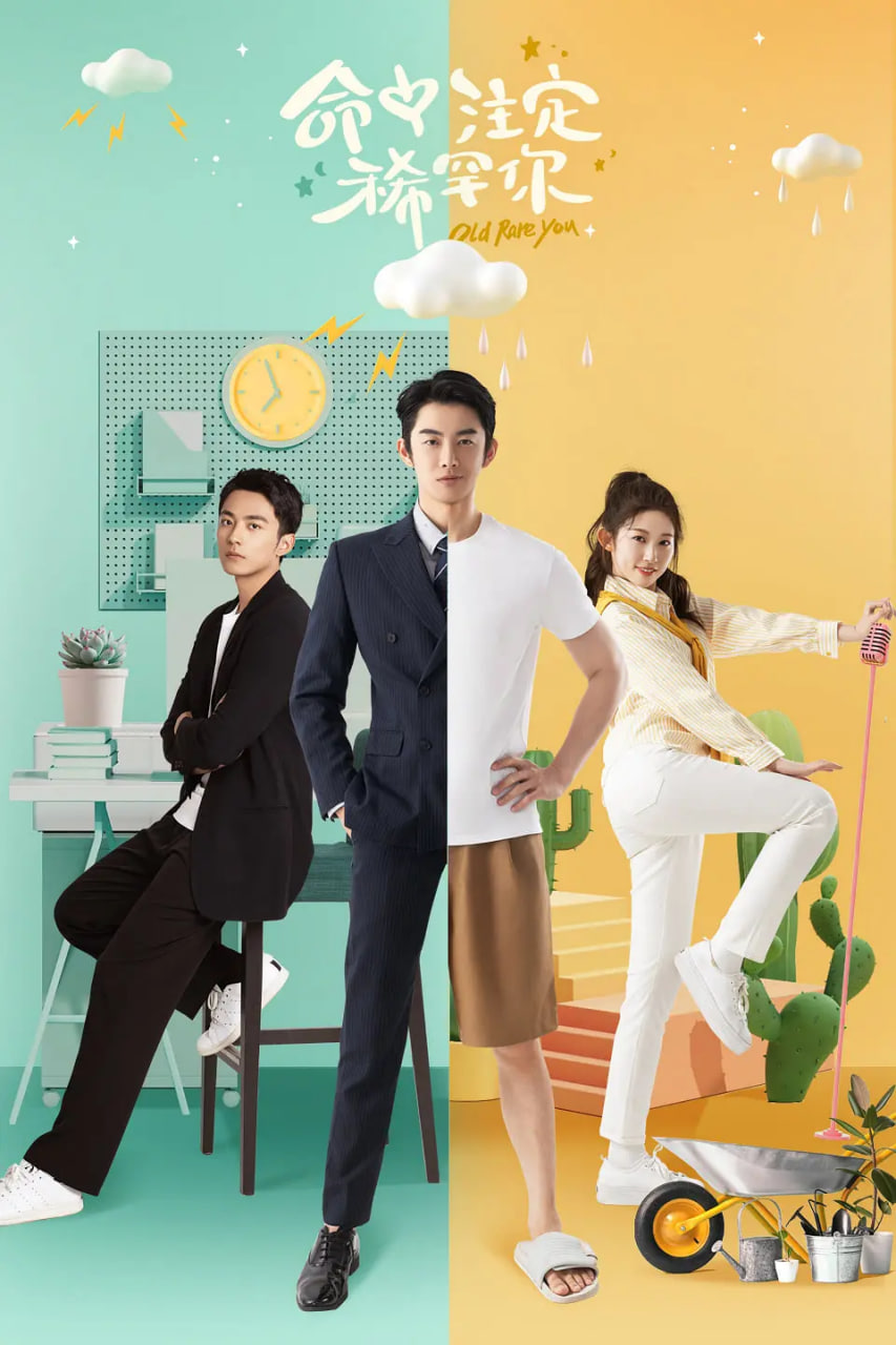 电影：命中注定稀罕你