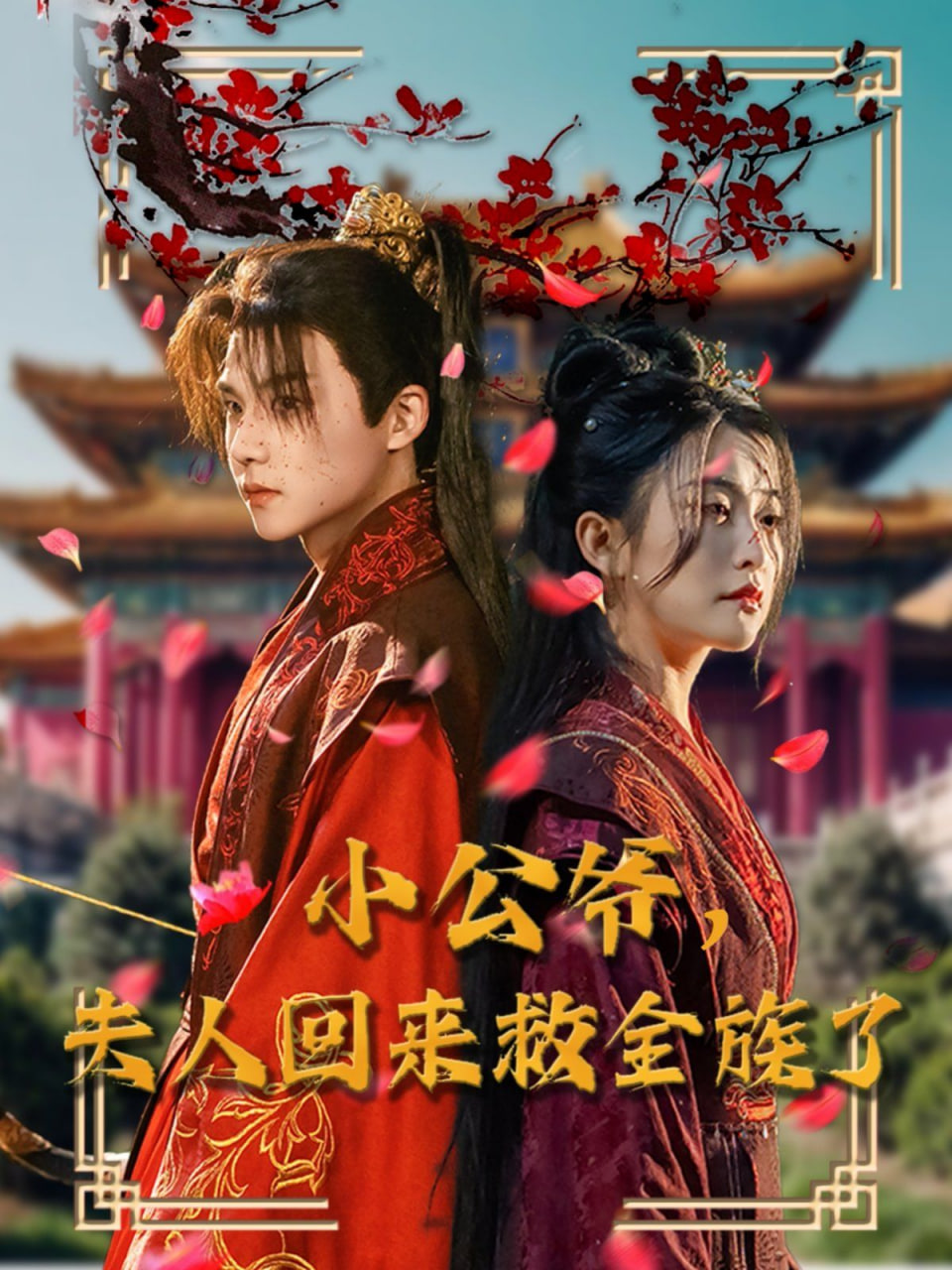 电影：小公爷夫人回来救全族了