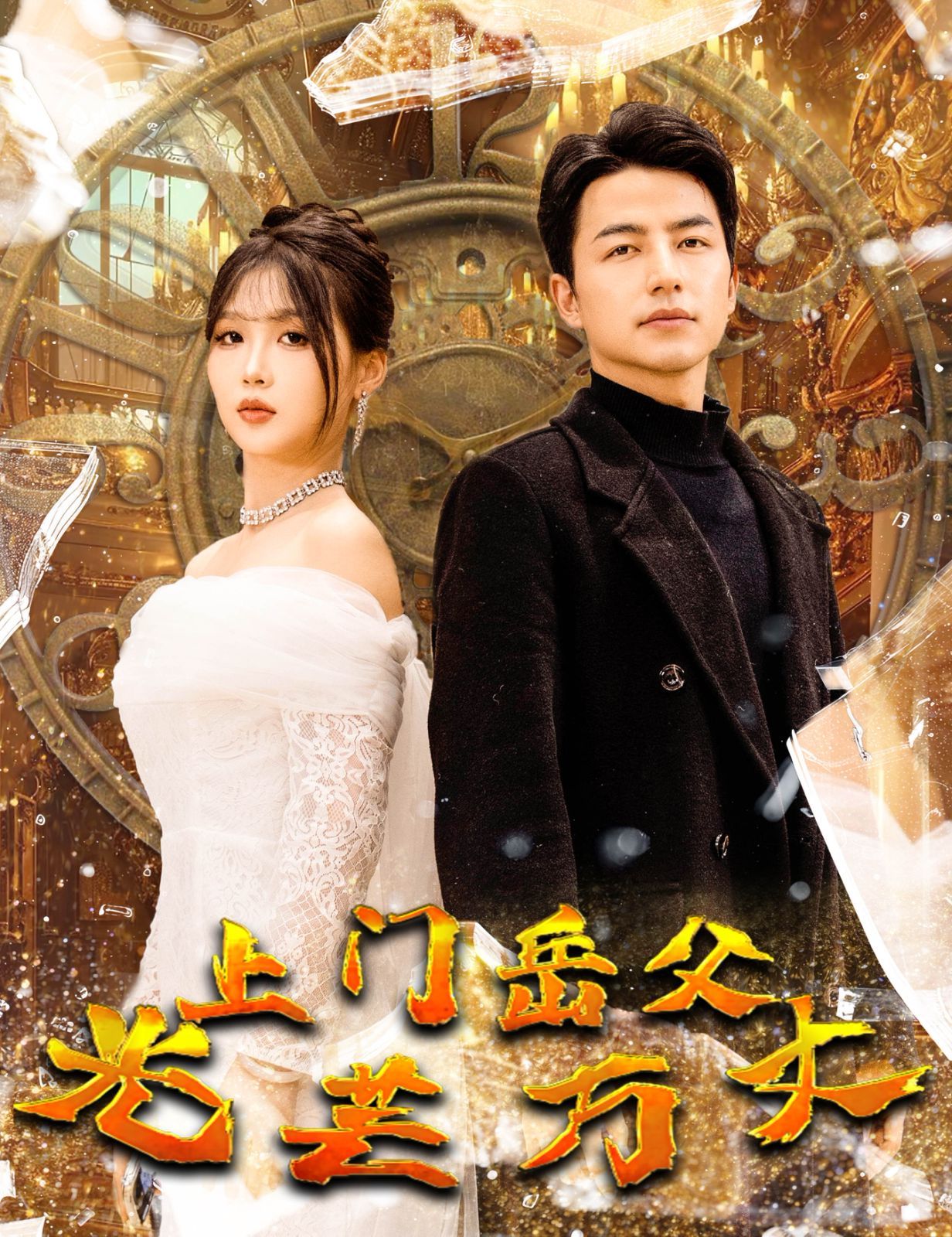 电影:上门岳父光芒万丈