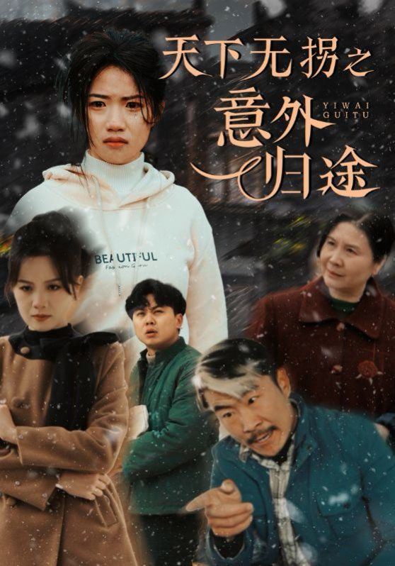 电影：天下无拐之意外归途