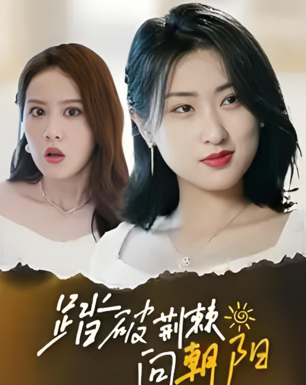 电影：踏破荆棘向朝阳