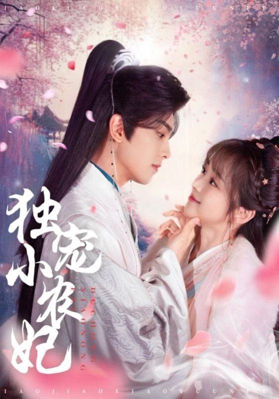 电影：独宠小农妃