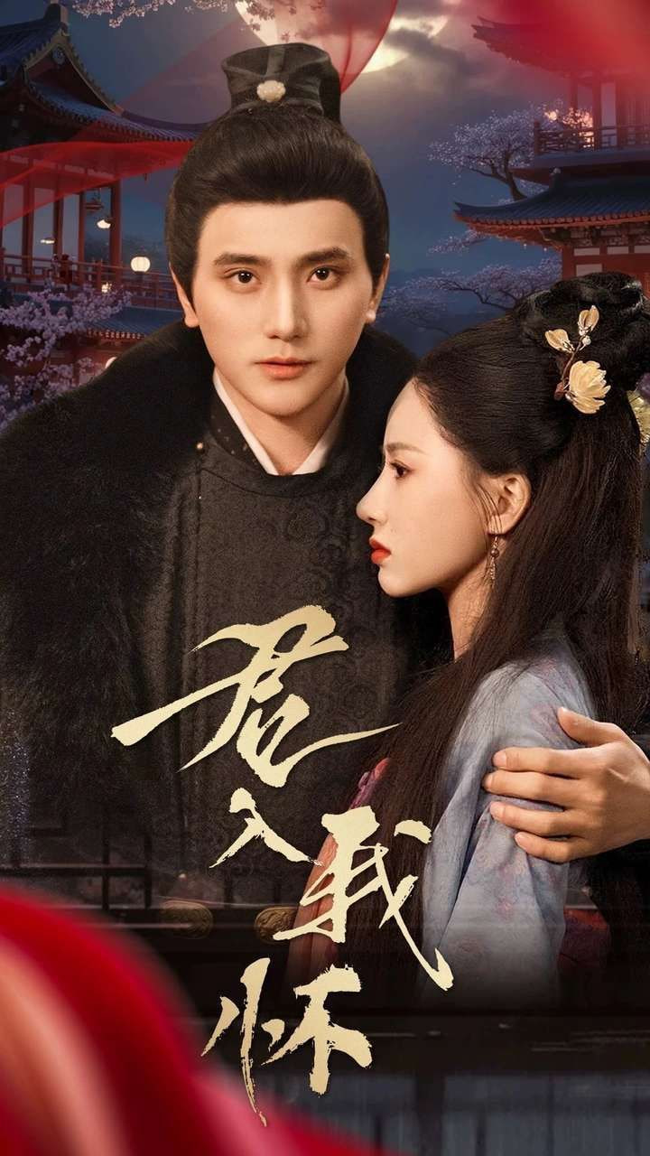 电影：君入我怀