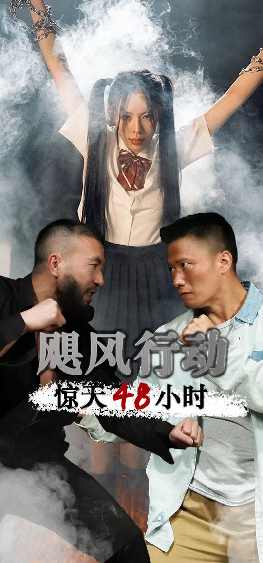 电影:飓风营救惊天48小时