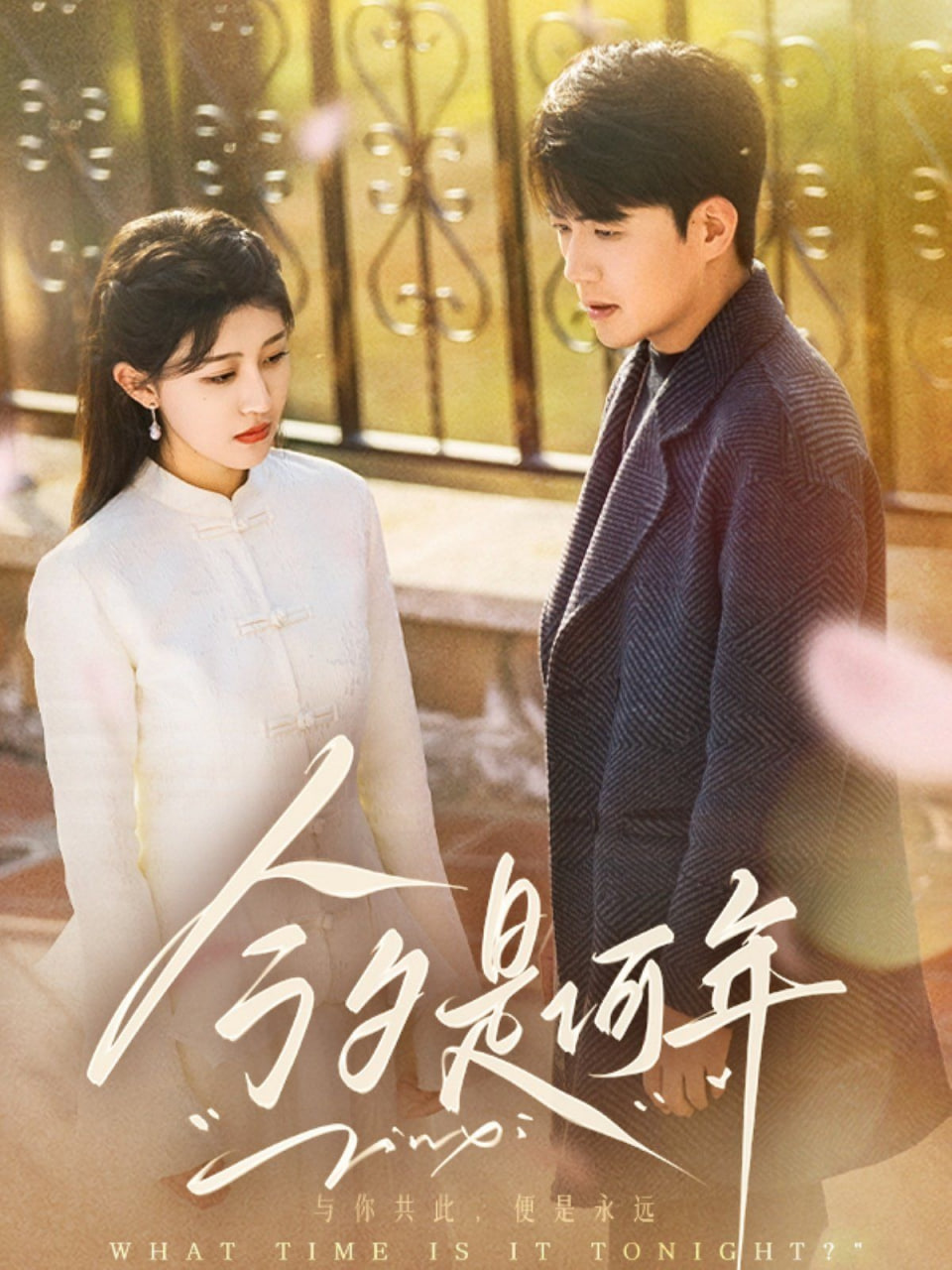 电影:今夕是何年