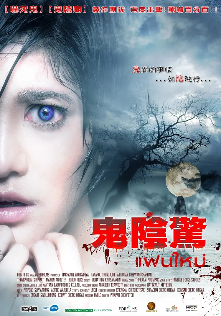 电影：新怨缠身