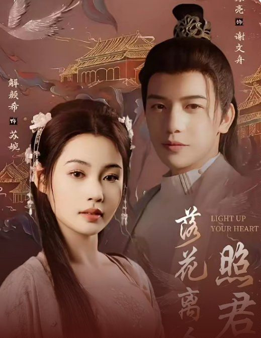 电影：落花离人照君心（嫁给首辅后要风得雨）