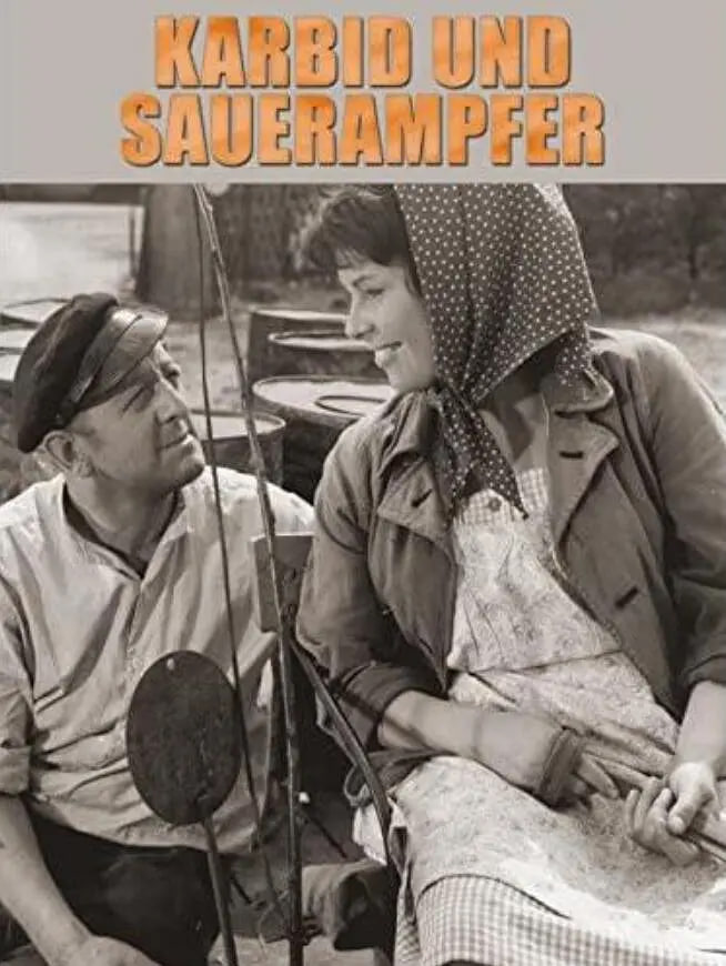 电影:电石与酸模