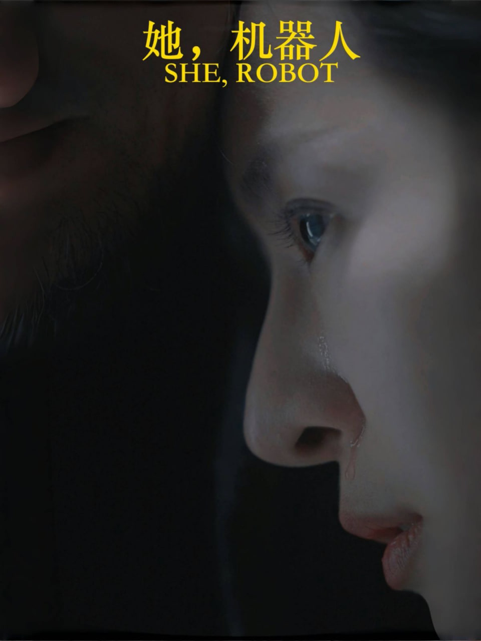 电影：她，机器人