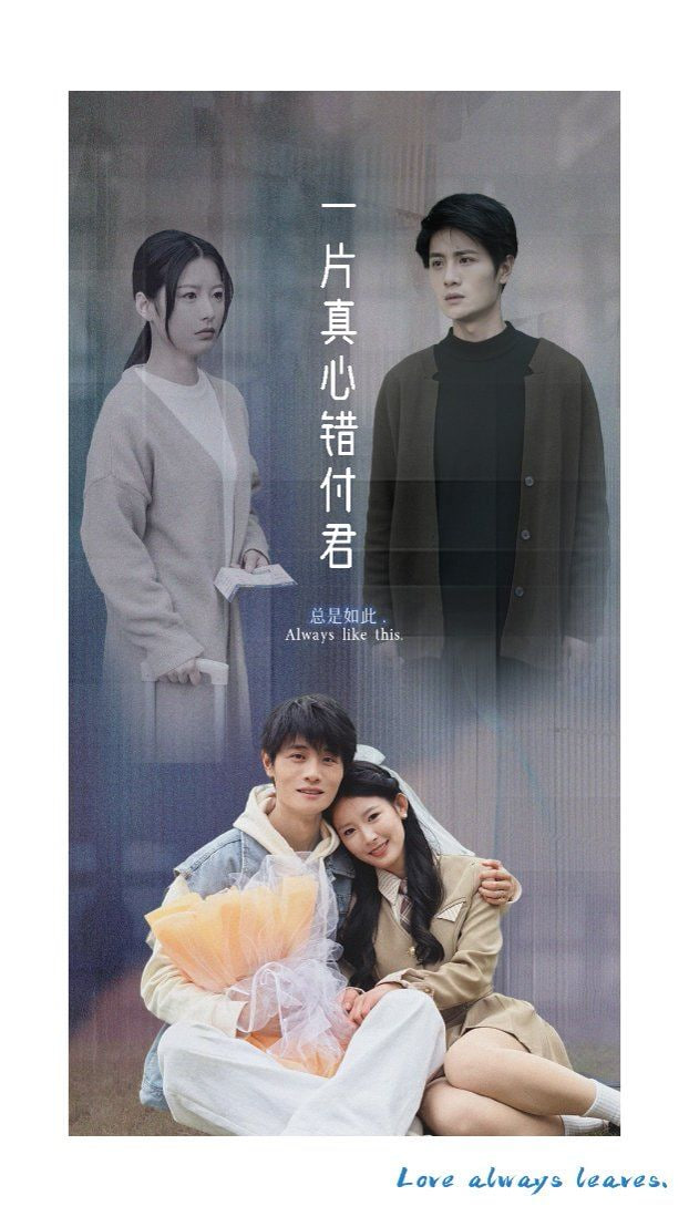 电影:一片真心错付君