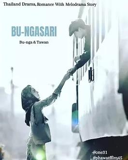 电影：垂花琴木