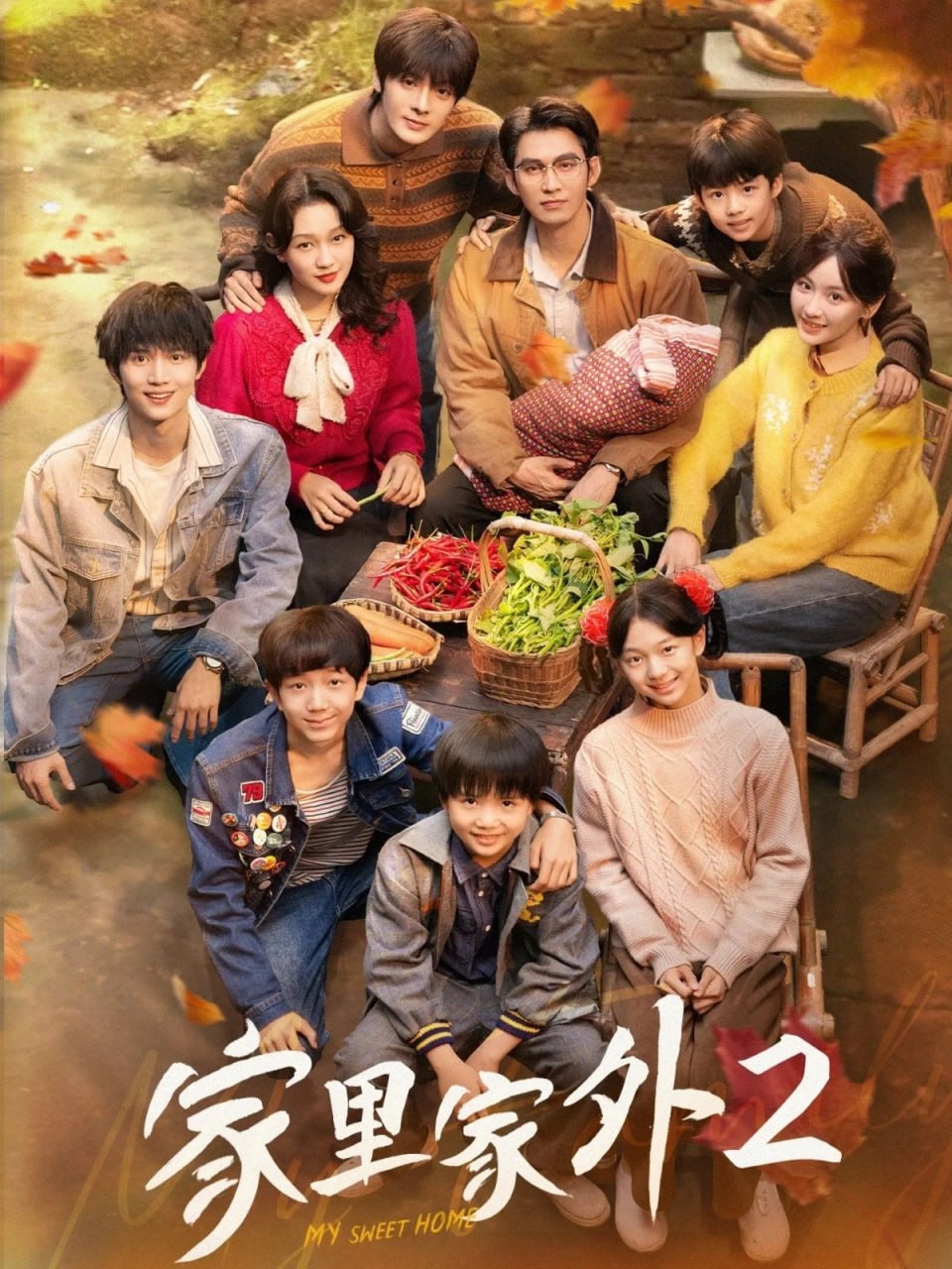 电影:家里家外2