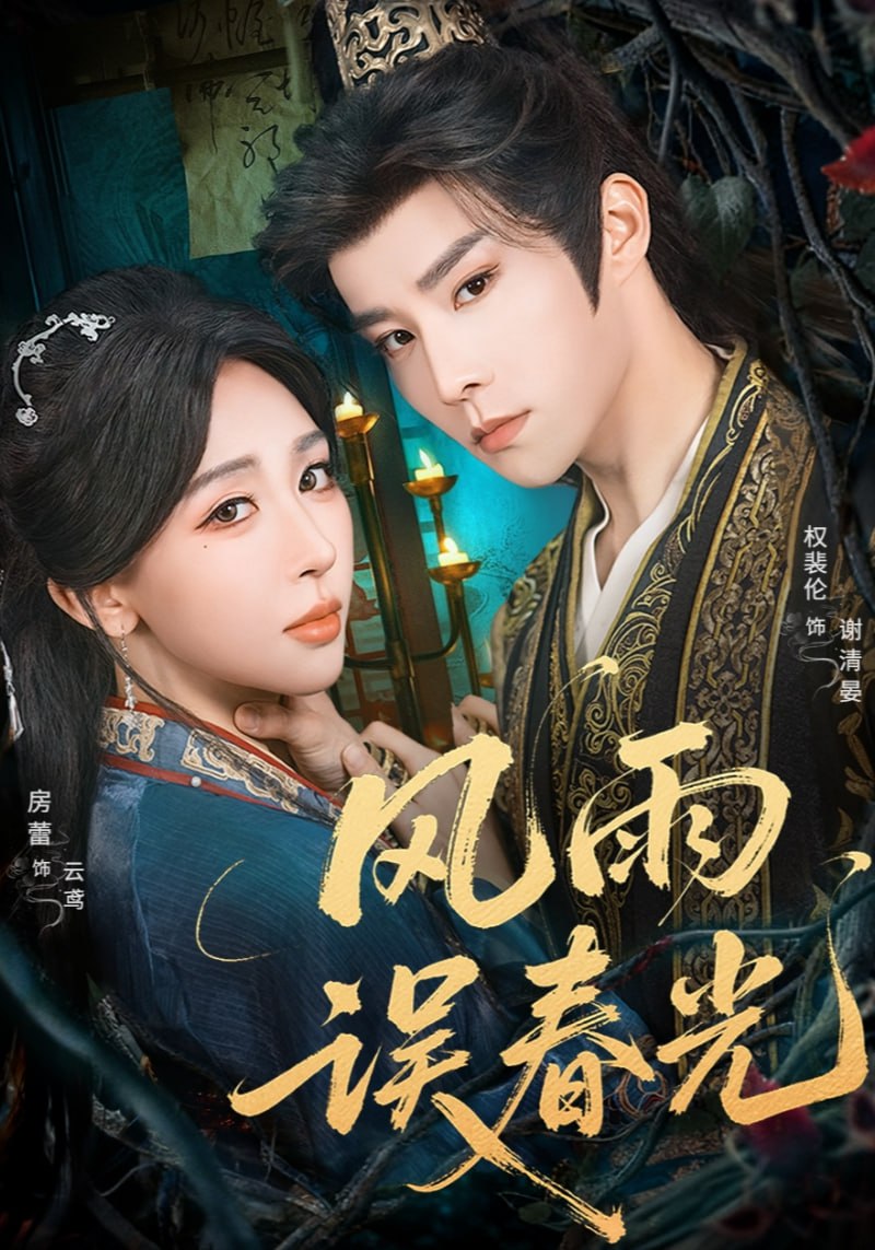 电影:风雨误春光(七年寒鸢)