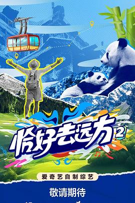 电影:恰好去远方2