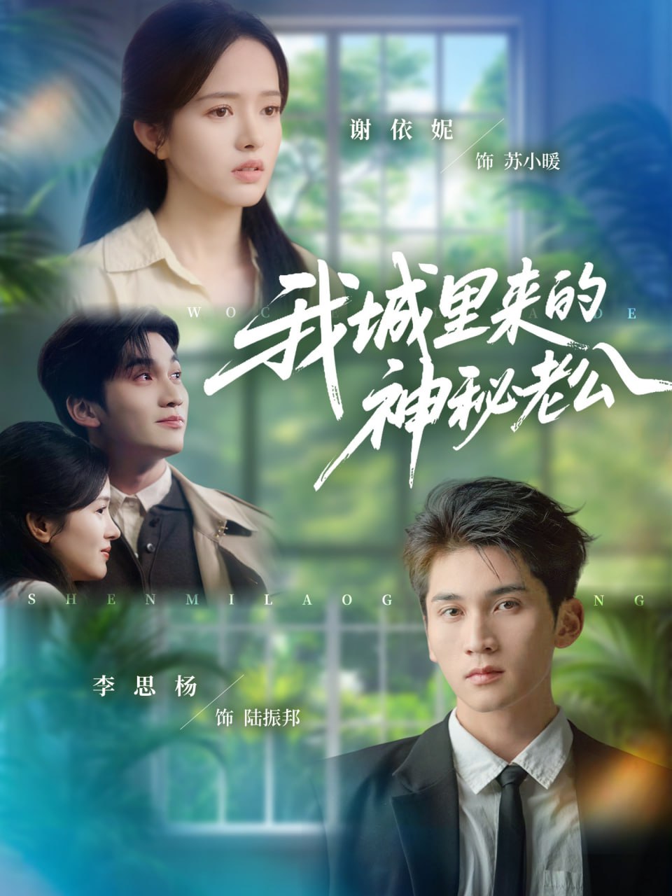 电影:我城里来的神秘老公