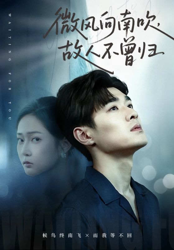 电影：微风向南吹，故人不曾归