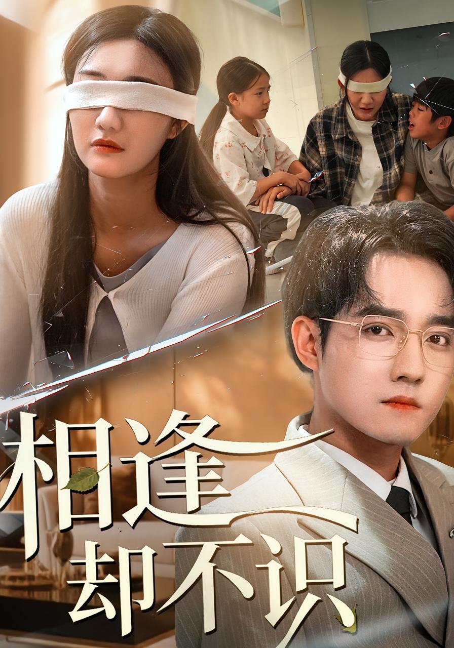 电影：相逢却不识