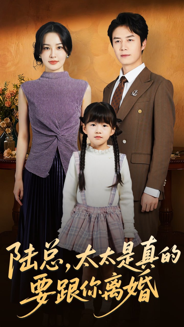 电影:陆总太太是真的要跟你离婚