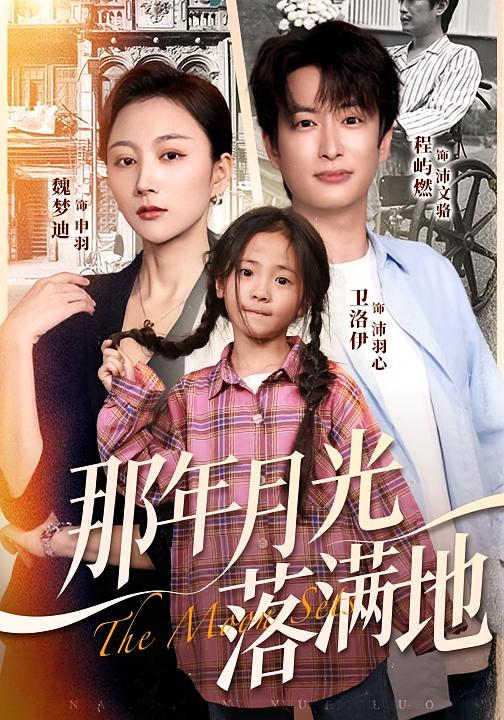 电影：那年月光落满地