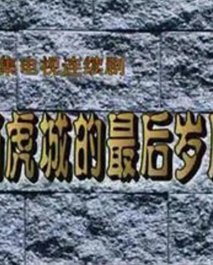 电影:杨虎城的最后岁月