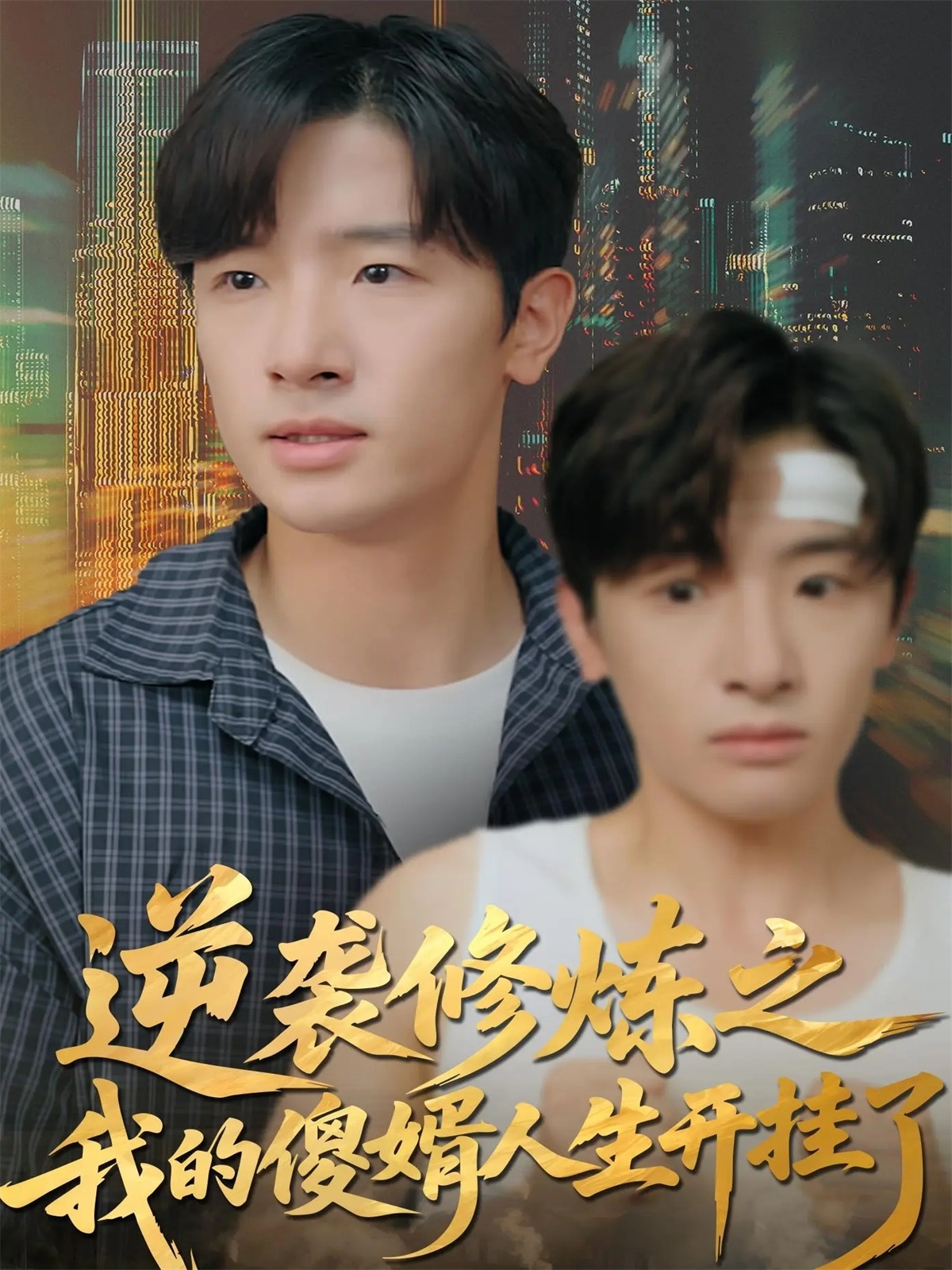 电影：逆袭修炼之我的傻婿人生开挂了