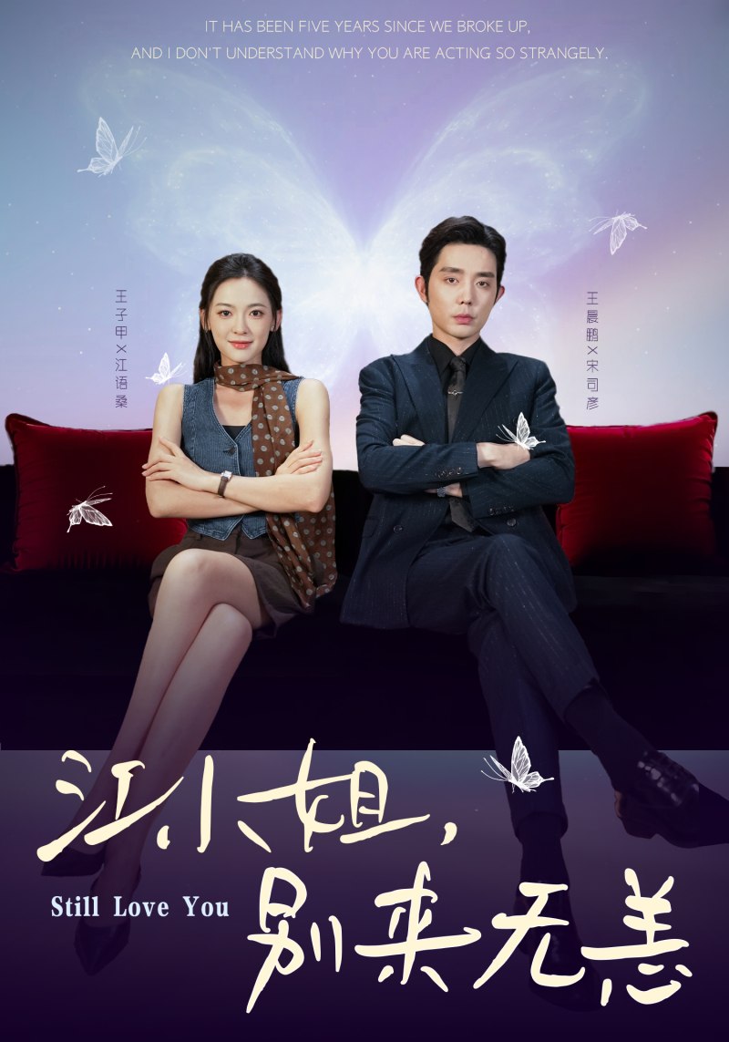 电影：江小姐，别来无恙（分手五年），宋先生别纠缠